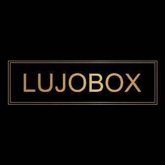 Lujobox Device mark 4814261 Trademark