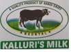 Kalluri's Milk Device mark 4818516 Trademark