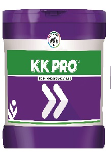 Kk Pro Device mark 4819855 Trademark