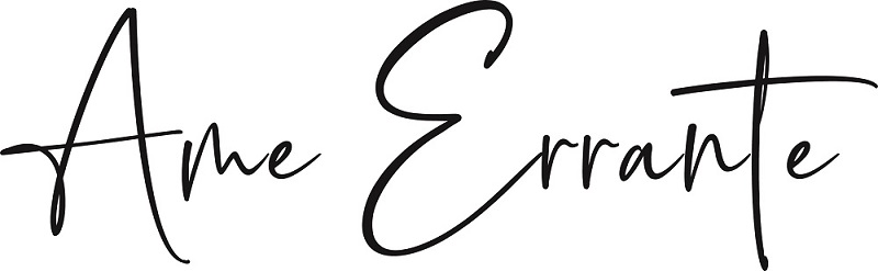 Ame Errante Device mark 4823161 Trademark