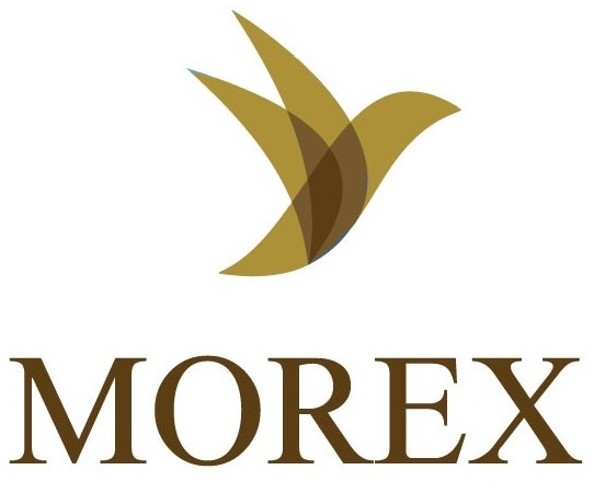 Morex Device mark 4823520 Trademark