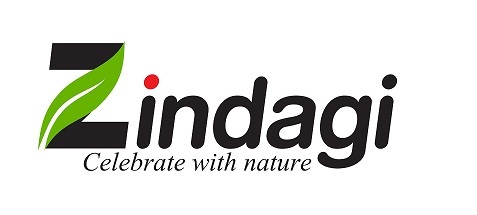 Zindagi Device mark 4831382 Trademark