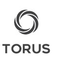 Torus Device mark 4833173 Trademark