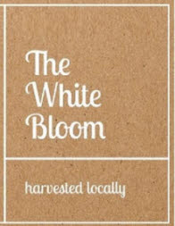 The White Bloom Device mark 4834896 Trademark