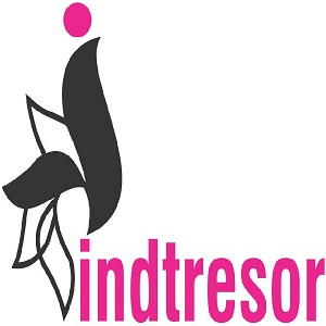 Indtresor Device mark 4836348 Trademark