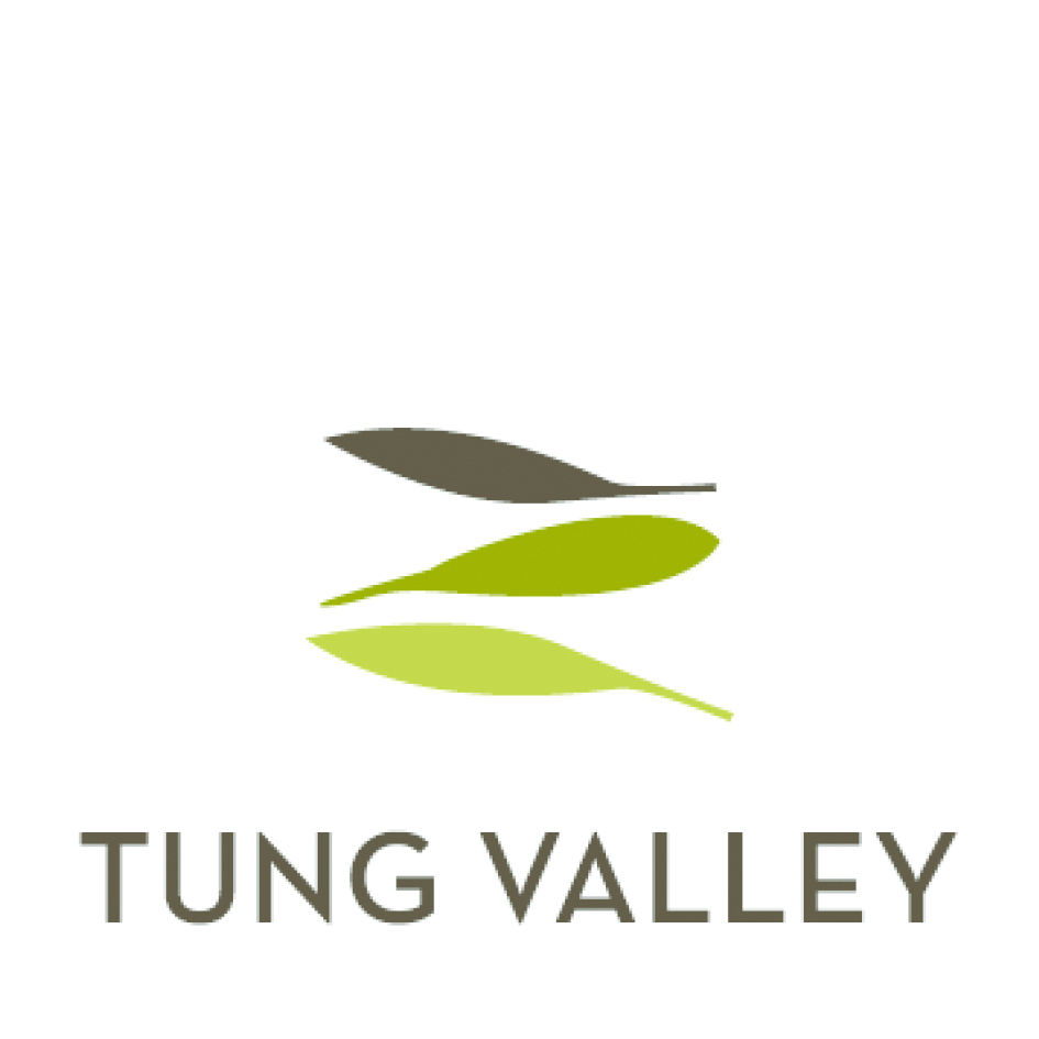Tung Valley Device mark 4836626 Trademark