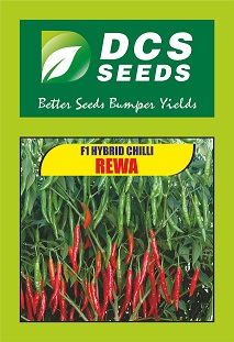 Dcs Seeds Rewa Device mark 4846453 Trademark