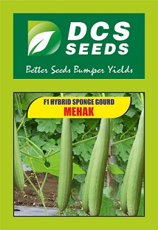 Dcs Seeds Mehak Device mark 4846456 Trademark