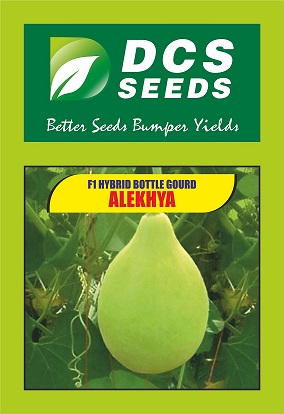 Dcs Seeds Alekhya Device mark 4846442 Trademark