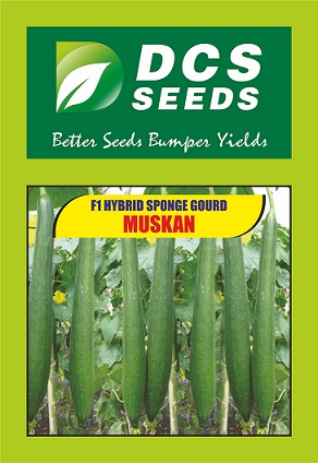 Dcs Seeds Muskan Device mark 4846455 Trademark