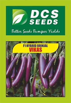 Dcs Seeds Vikas Device mark 4846459 Trademark