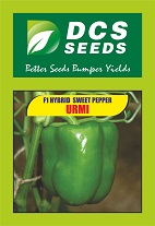 Dcs Seeds Urmi Device mark 4848093 Trademark