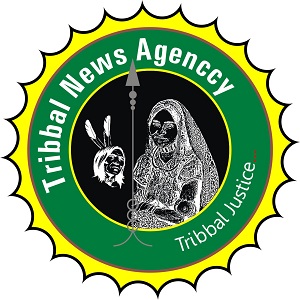 Tribbal News Agency Device mark 4848726 Trademark