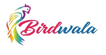 Birdwala Device mark 4865372 Trademark