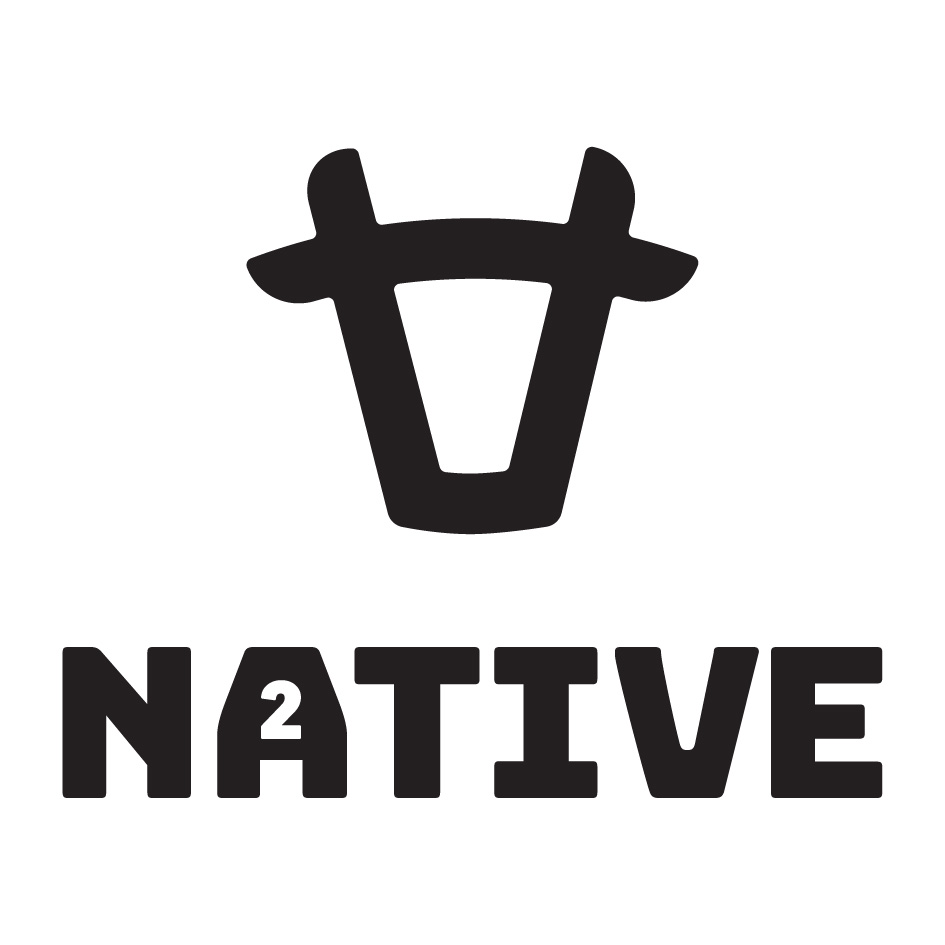 Na2tive Device mark 4868662 Trademark