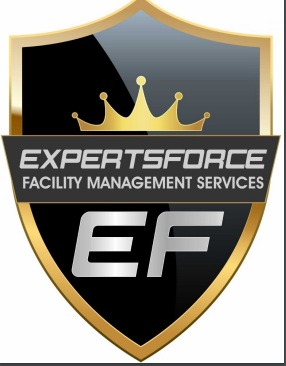 Ef Expertsforce Device mark 4873126 Trademark