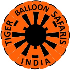 Tiger Balloon Safaris Device mark 4876981 Trademark