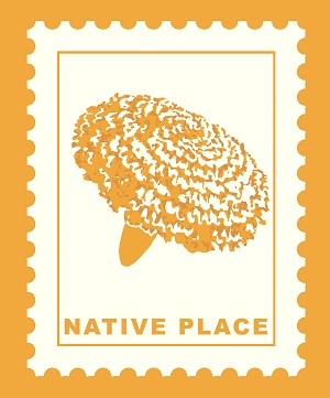 Native Place Device mark 4888559 Trademark