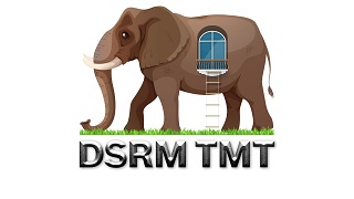 Dsrm Tmt Device mark 4889510 Trademark