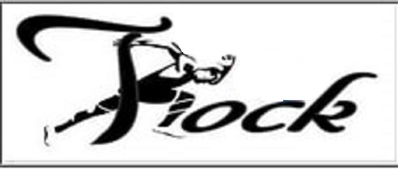 T-rock Device mark 4889864 Trademark