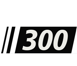 300 Device mark 4895192 Trademark