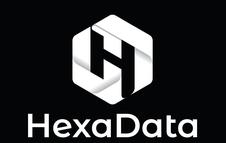 Hexadata Device mark 4902503 Trademark