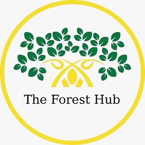 The Forest Hub Device mark 4905284 Trademark