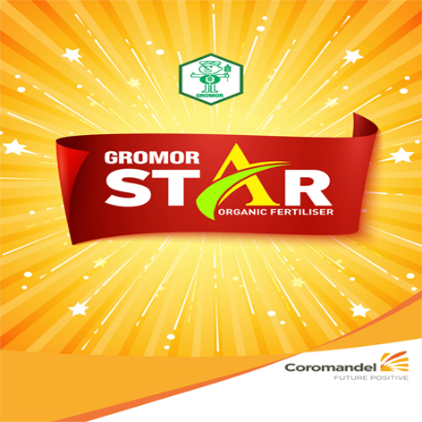 Gromor Star Device mark 4909279 Trademark