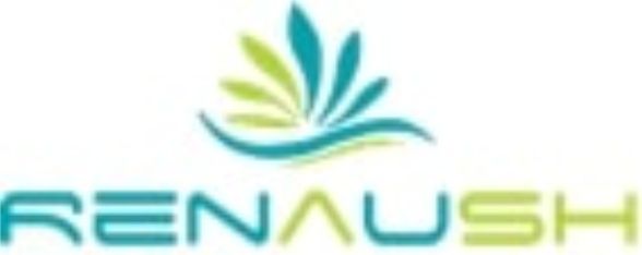 Renaush Device mark 4910417 Trademark