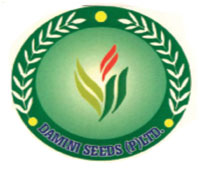 Damini Seeds Private Limited Device mark 4918096 Trademark