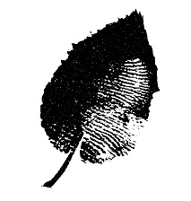 Device Of Leaf Device mark 4929468 Trademark