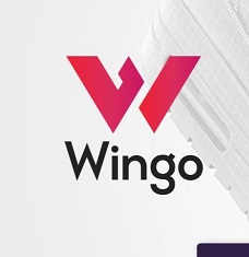 Device Of W Wingo Device mark 4931178 Trademark