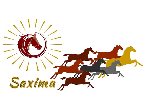 Saxima Device mark 4944018 Trademark