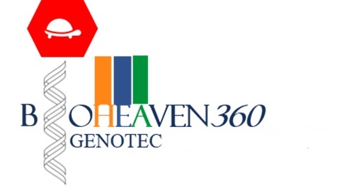 Bioheaven360 Genotec Device mark 4951327 Trademark