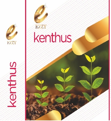 Kenthus Device mark 4961393 Trademark