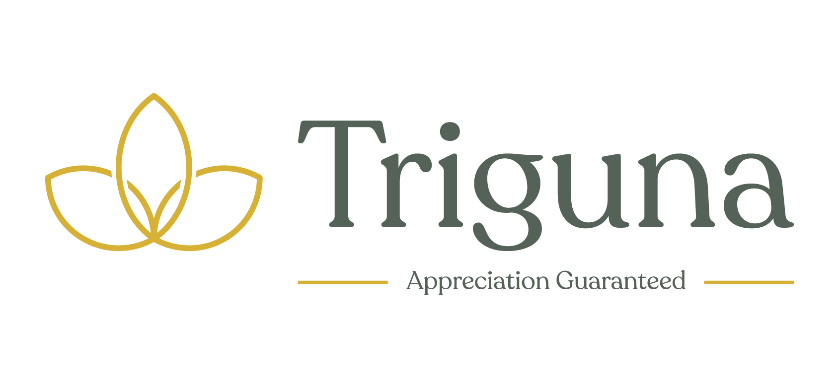 Triguna Device mark 4970305 Trademark
