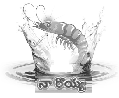 Naa Royya Device mark 4989116 Trademark