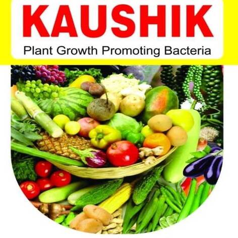 Kaushik Device mark 4993684 Trademark