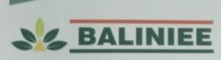 Baliniee Device mark 4993681 Trademark