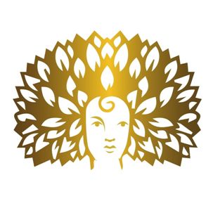 Device Device mark 4994407 Trademark