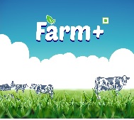 Farm + Device mark 4998455 Trademark