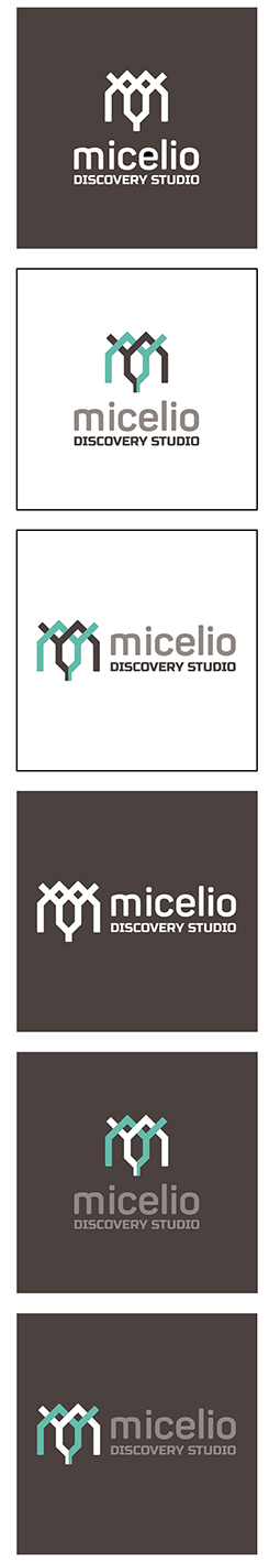 Micelio Discovery Studio Label Device mark 5009082 Trademark