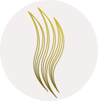 Legend Claw Device mark 5009707 Trademark