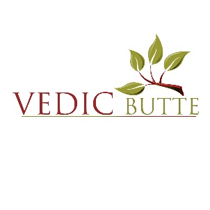Vedic Butte Device mark 5019516 Trademark