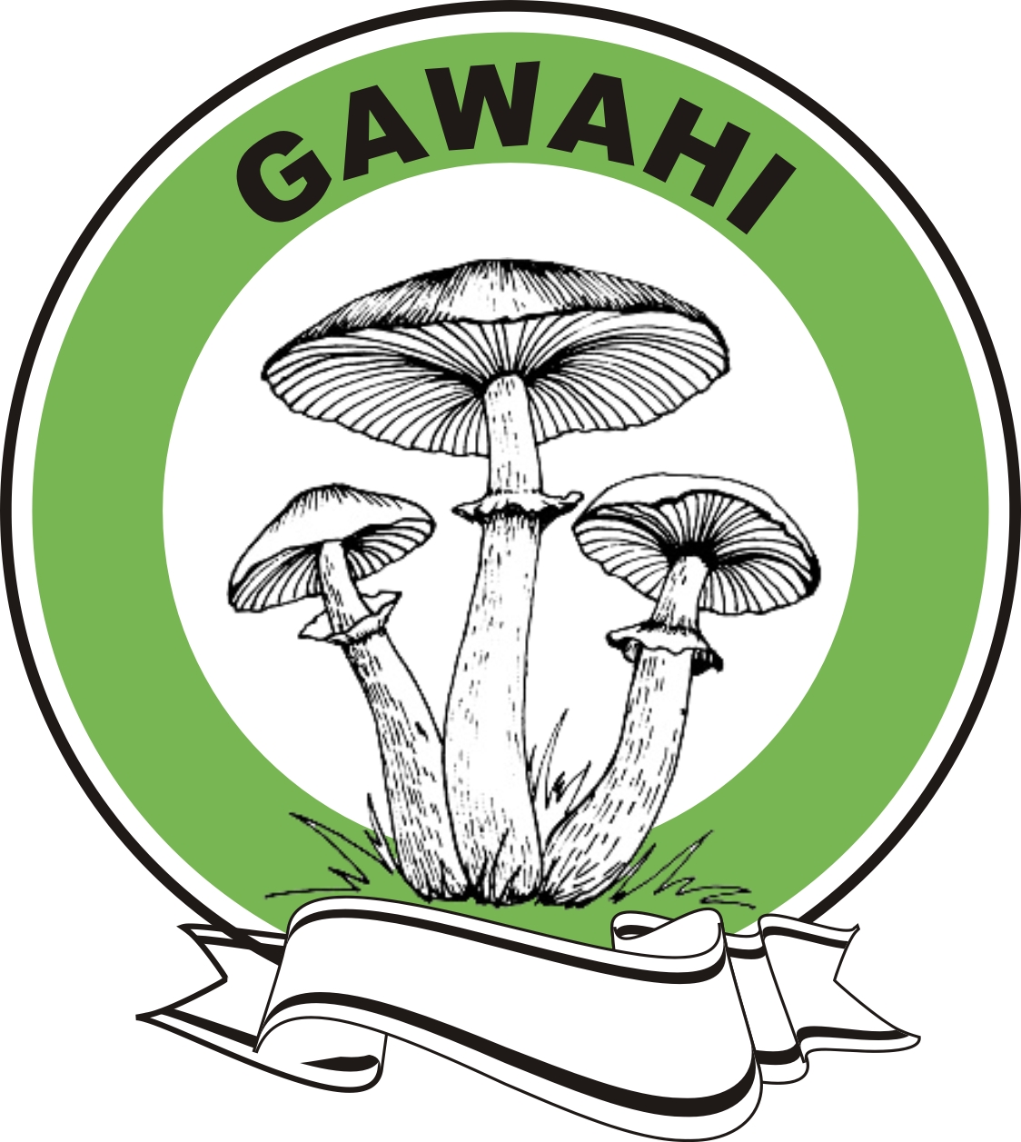 Gawahi Device mark 5024695 Trademark