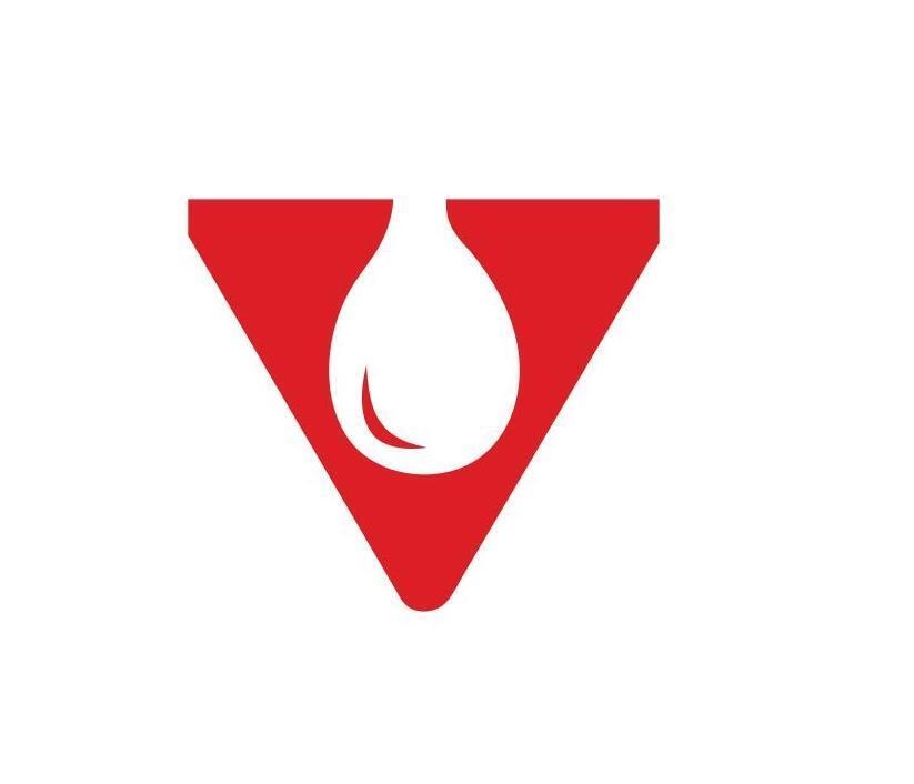 Device Of V Device mark 5027056 Trademark