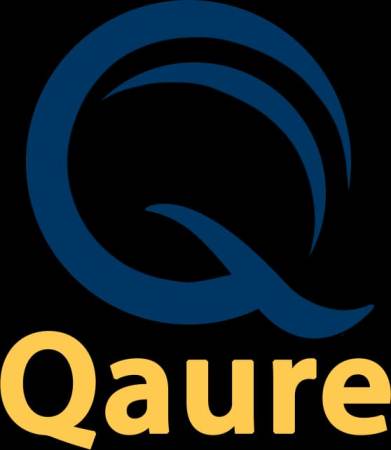 Qaure Device mark 5068640 Trademark