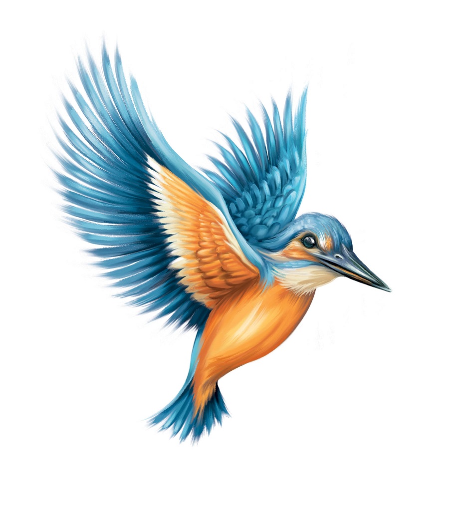 Kingfisher Bird (device) Device mark 5071836 Trademark
