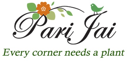 Parijai Device mark 5071978 Trademark