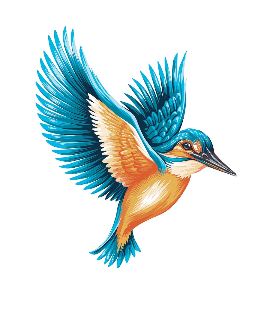 Device Device mark 5071980 Trademark